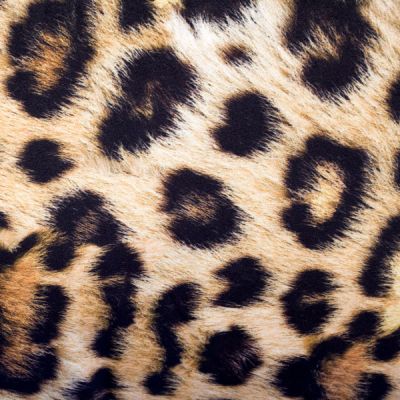 Cojín de 45 x 45 cm de terciopelo con relleno Camerún Leopardo